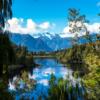From Cultural Groups to the Cloud: How Tradition and Technology Are Shaping New Zealand’s Online Gambling Trends