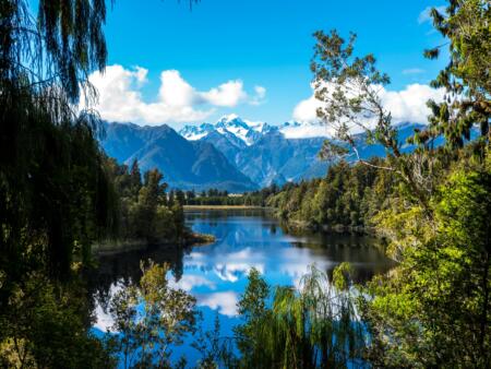 From Cultural Groups to the Cloud: How Tradition and Technology Are Shaping New Zealand’s Online Gambling Trends