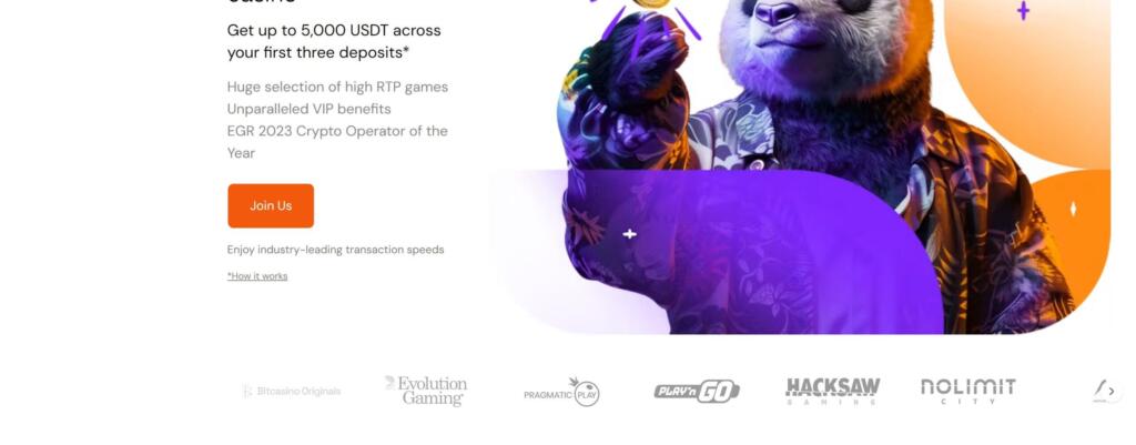 Bitcasino banner offering up to 5,000 USDT across the first three deposits, above a row of game provider logos