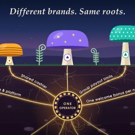 Casino Sister Sites in New Zealand: Networks, Shared Rules and Payout Terms Explained