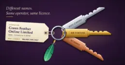 Mr Fortune Casino NZ Review: Owner, Licence and Payouts