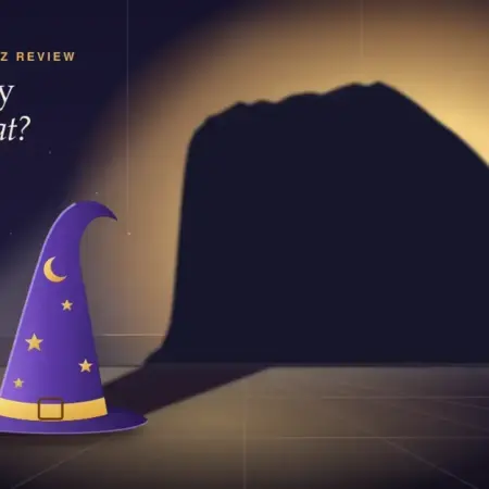 WizSlots Casino NZ Review: Licence, Owner, Bonus Terms and Payouts