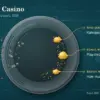 Yukon Gold Casino: Operator Profile and 2026 Rules for NZ Players