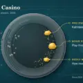 Yukon Gold Casino: Operator Profile and 2026 Rules for NZ Players