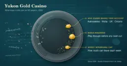 Yukon Gold Casino: Operator Profile and 2026 Rules for NZ Players